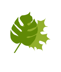 Tree Recycling Services | Leaves
