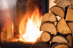 Log fire and logs